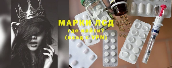 стаф Абинск