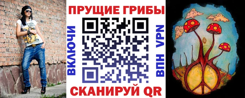 как найти закладки  Нижняя Салда  Псилоцибиновые грибы Cubensis 